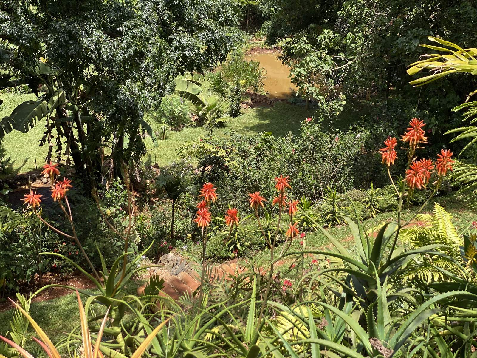 Maarifa Park - Open Lawn